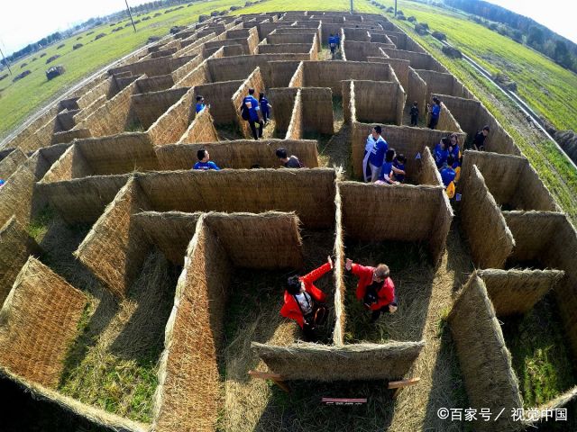 上海:网红稻草雕塑亮相农田,憨态可掬趣味盎然